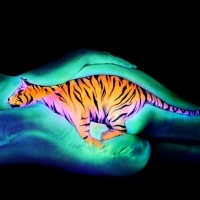 UV Bodypainting Tiger