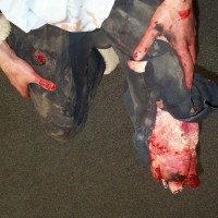 Casualty-Effects-severed-leg-1