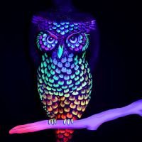 UV Bodypainting Owl