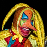 Theatrical-Make-up-Jester