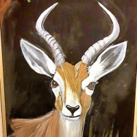 ציור-קיר-סטף-1